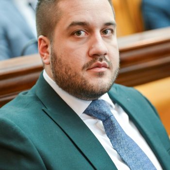 nebojsa_drinic